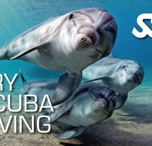 Try Scuba Diving